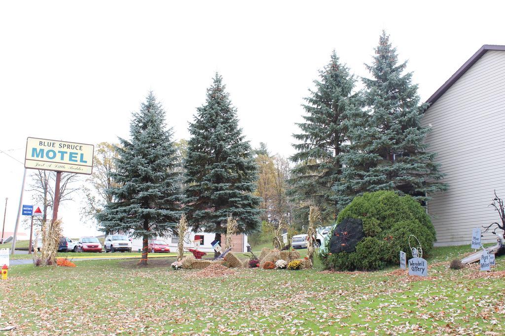 Blue Spruce Motel Massena Bagian luar foto