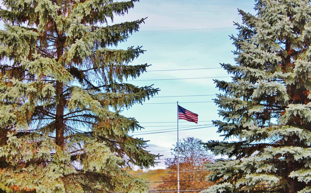 Blue Spruce Motel Massena Bagian luar foto