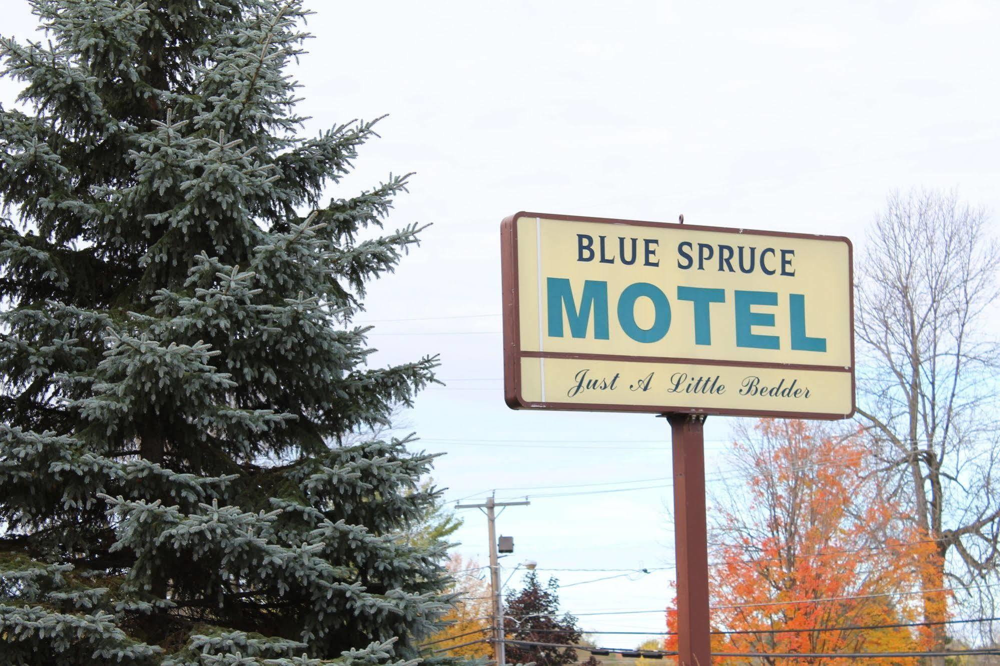 Blue Spruce Motel Massena Bagian luar foto